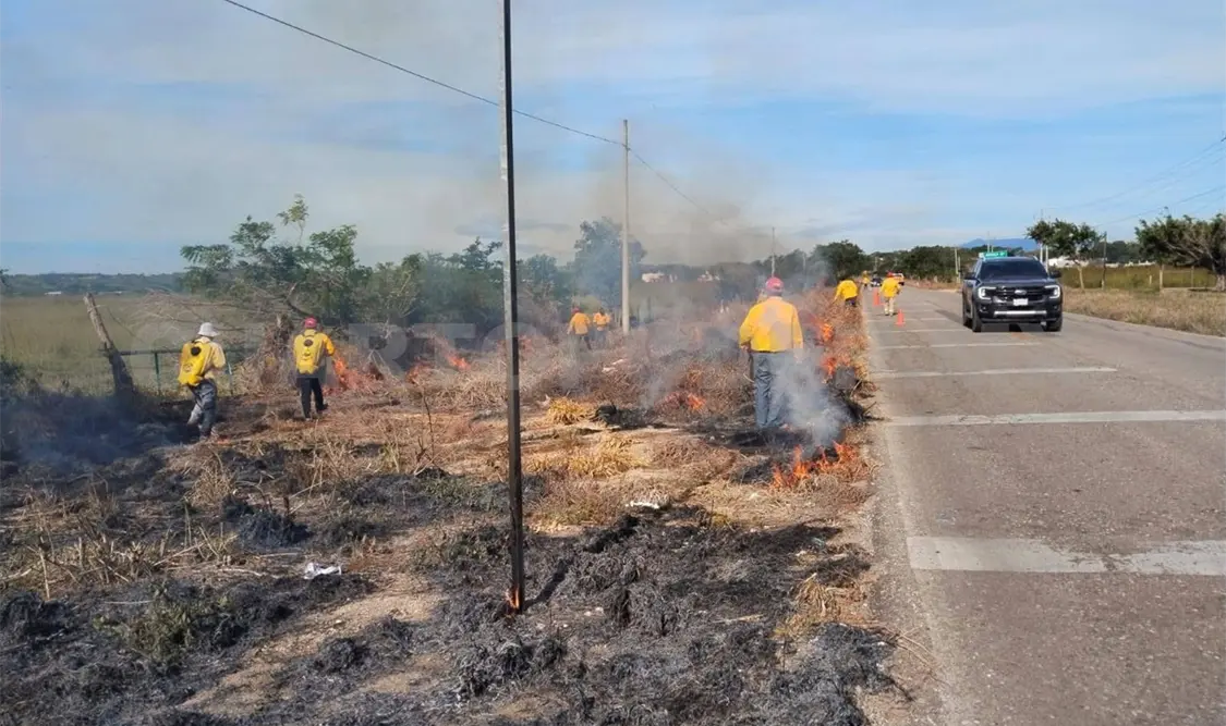 Los incendios a la orilla de carretera en ocasiones terminan en incendios forestales. Osman Toledo / CP