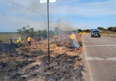 Inician acciones preventivas en incendios de pastizal