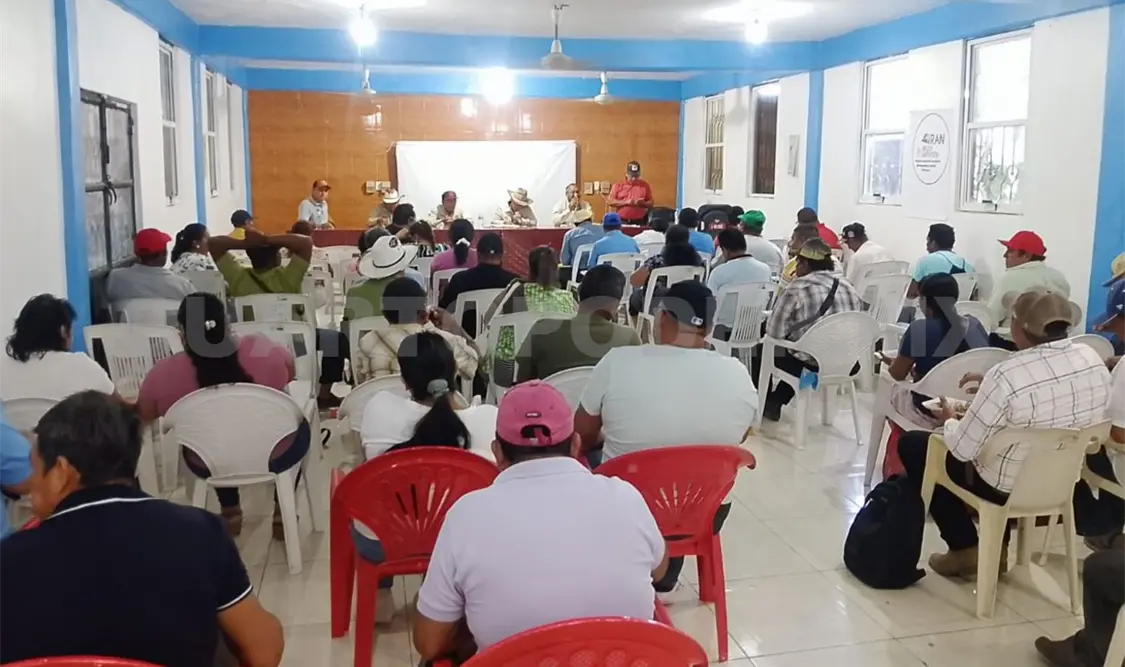 Inseguridad en ganaderos por aumento de plaga