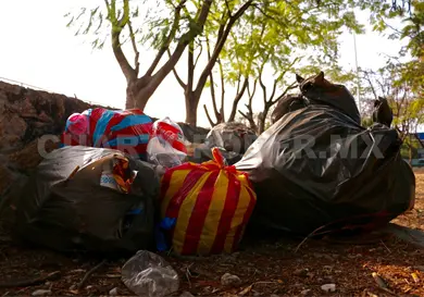 La crisis del PET en la ciudad