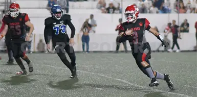 Osos de Chiapas sorprende a Búhos en su nido