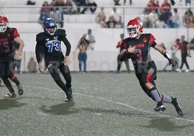 Osos de Chiapas sorprende a Búhos en su nido Osos de Chiapas sorprende a Búhos en su nido