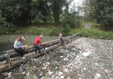 Cultivos de SCLC regados con aguas negras Cultivos de SCLC regados con aguas negras
