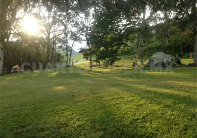 Un refugio selvático en la Zona Metropolitana Un refugio selvático en la Zona Metropolitana