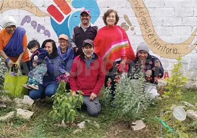 La Maya crea polinizador "Nuestra Esperanza" La Maya crea polinizador "Nuestra Esperanza"