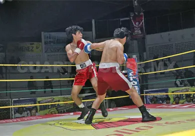 Vibrante noche de box profesional