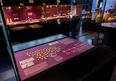 Ladrones roban monedas de un museo