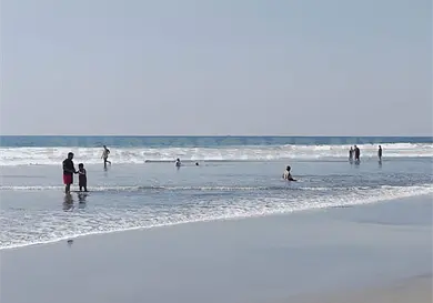 Barcos camaroneros ponen en riesgo a tortugas marinas Barcos camaroneros ponen en riesgo a tortugas marinas