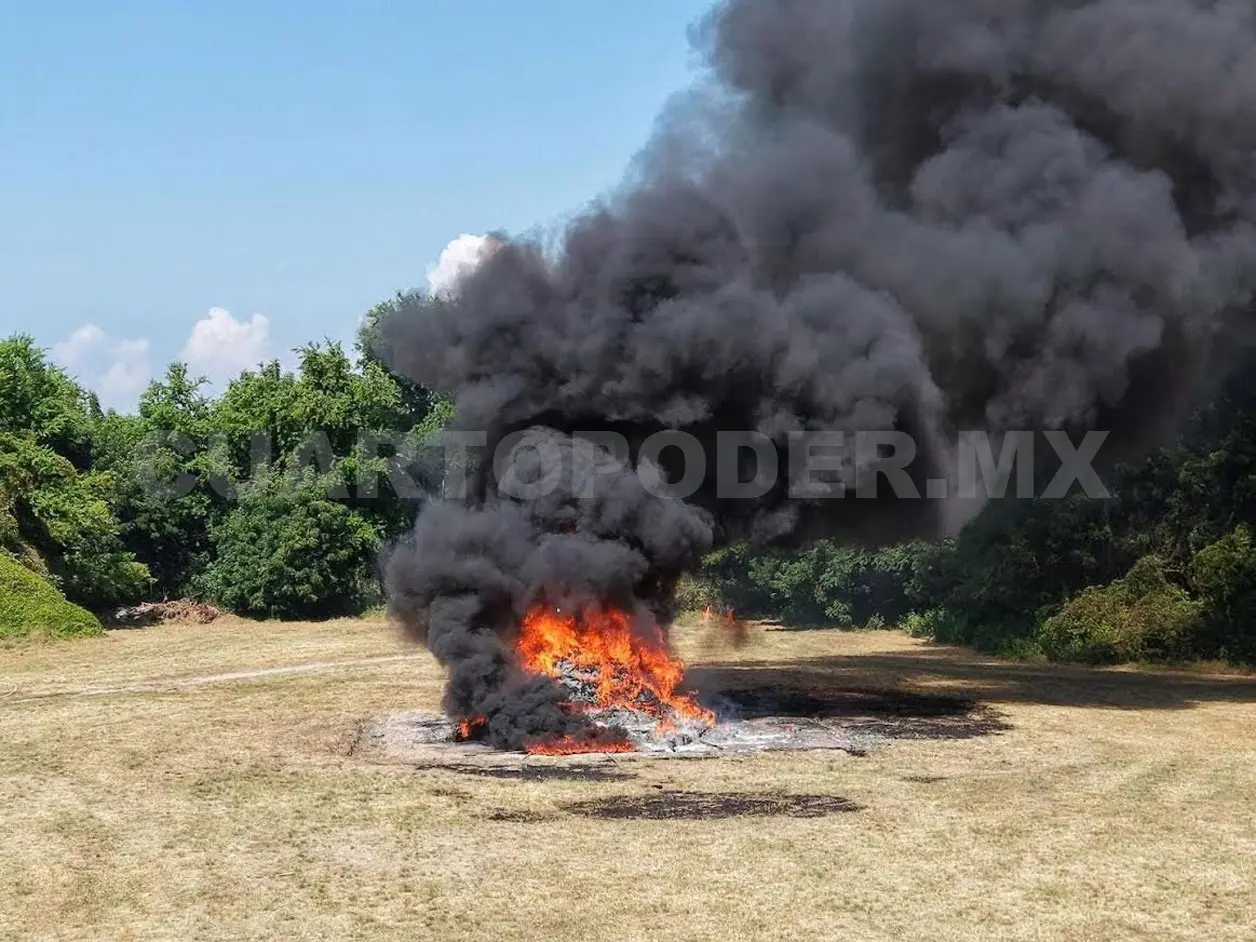 Incineran más de dos toneladas de diversas drogas