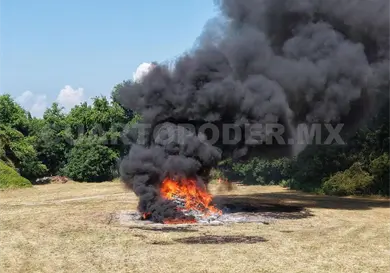 Incineran más de dos toneladas de diversas drogas