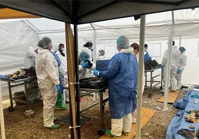 146 cuerpos identificados del crematorio Plenitud 146 cuerpos identificados del crematorio Plenitud