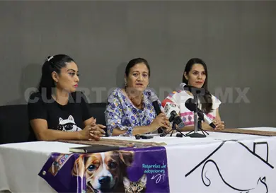 Convocan a donar en el próximo Croquetón 2025