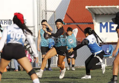 Dolphins Youth son las campeonas Omega