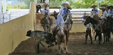 Listo el torneo de aniversario de Charros de Tuxtla
