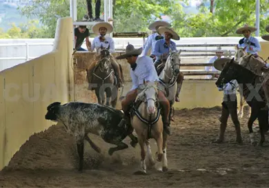 Listo el torneo de aniversario de Charros de Tuxtla
