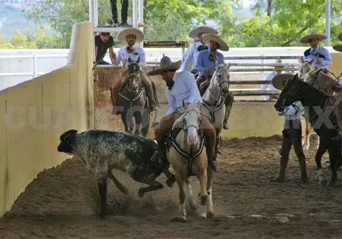 Listo el torneo de aniversario de Charros de Tuxtla