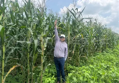 Desarrollan proyecto para mejorar cultivos