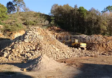 Cuestionan la "transición verde"