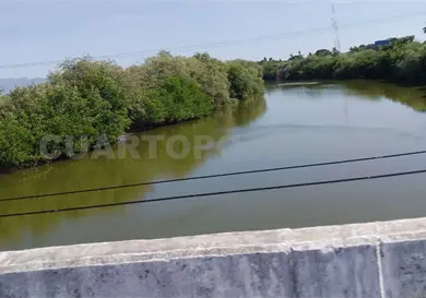 Alerta por cocodrilos de tres metros en Capulín