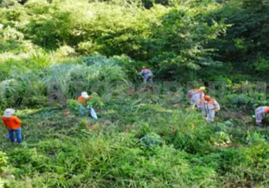 Avanzan acciones contra especies invasoras