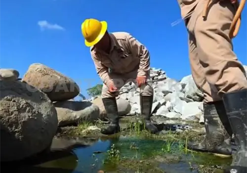 Hallan mosco transmisor del paludismo en la Costa