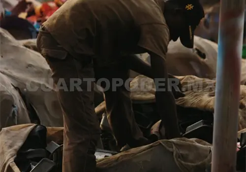 Pepenadores se han convertido en un problema