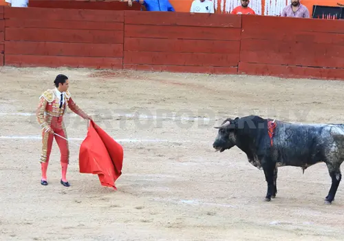 Corrida Decembrina 2025 en San Cristóbal
