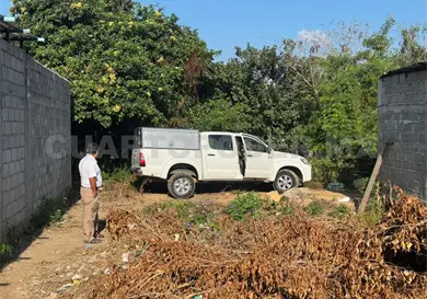 Joven se ahorca de la rama de un árbol