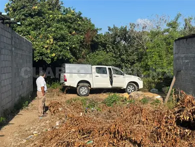 Joven se ahorca de la rama de un árbol Joven se ahorca de la rama de un árbol