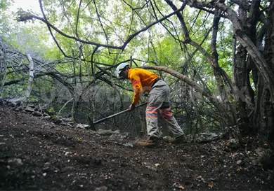Refuerzan estrategia contra incendios