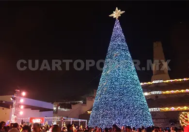 Espectacular encendido del árbol de navidad