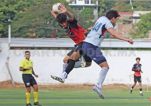 Lechuzas UPGCH vuela alto ante la Máquina