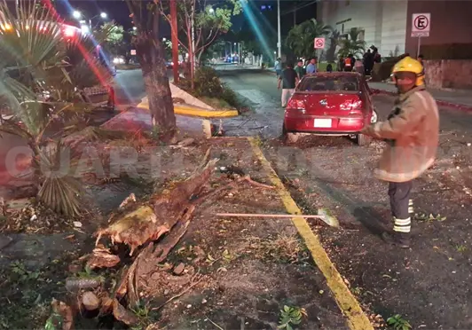 Se estrellan automóviles y uno derriba un árbol