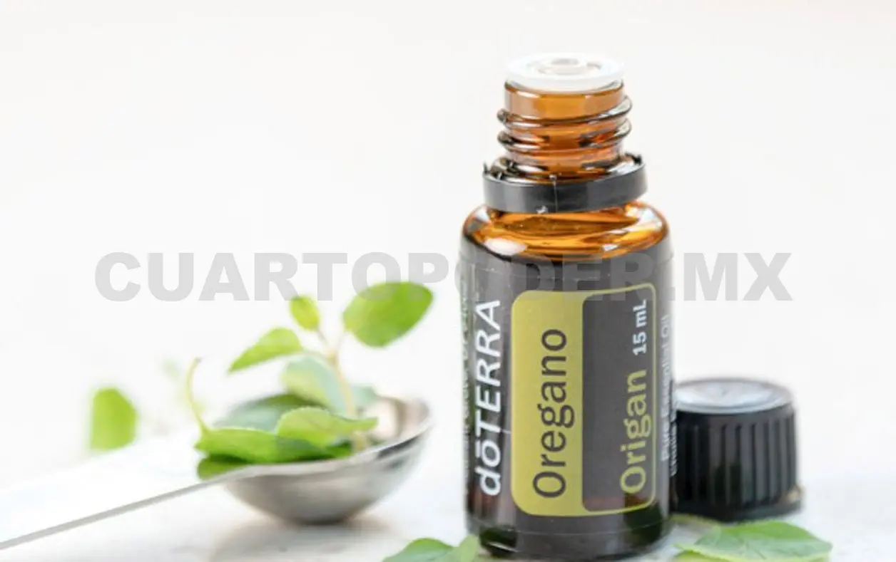 Alternativa para mejorar la calidad de vida, conócela