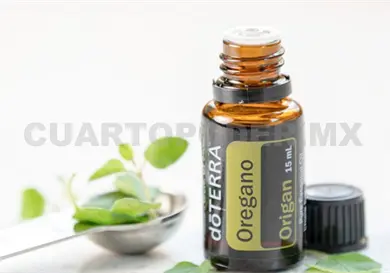 Alternativa para mejorar la calidad de vida, conócela