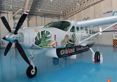 "Bonampak", la segunda avioneta de AeroBalam