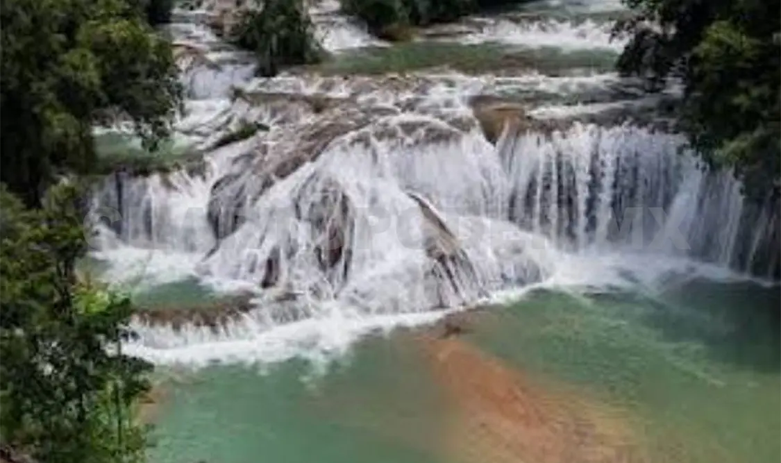 Chiapas cuentas con grandes recursos hídricos. CP