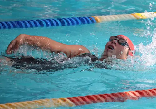 Van por el Abierto Mexicano y Nacional de CC Van por el Abierto Mexicano y Nacional de CC