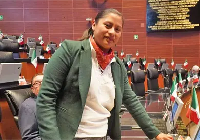 Buscan sancionar usurpación de candidaturas Buscan sancionar usurpación de candidaturas