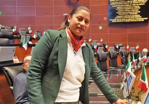 Buscan sancionar usurpación de candidaturas Buscan sancionar usurpación de candidaturas