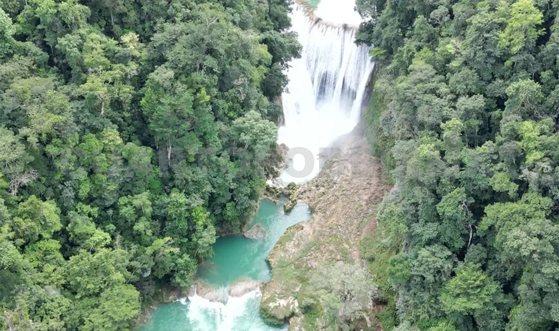 Chiapas requiere un urgente cambio de políticas publicas para rescatar los bosques. CP