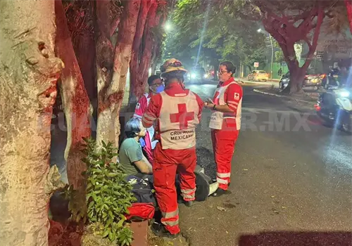 Moto se estrella contra un árbol Moto se estrella contra un árbol