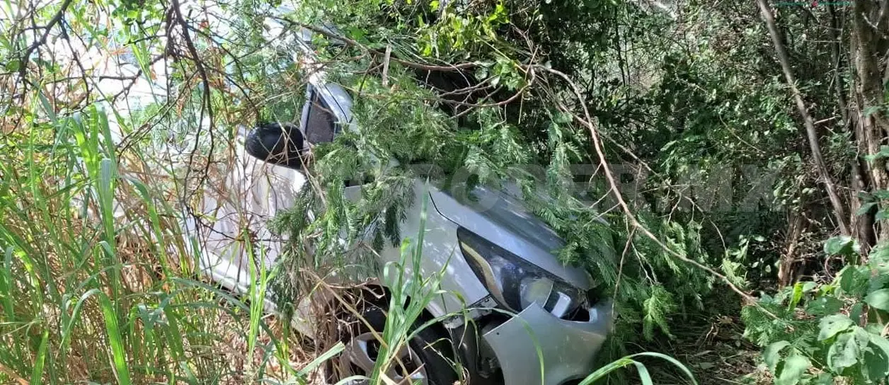 El automóvil estaba entre la maleza tras salirse de la carretera. CP