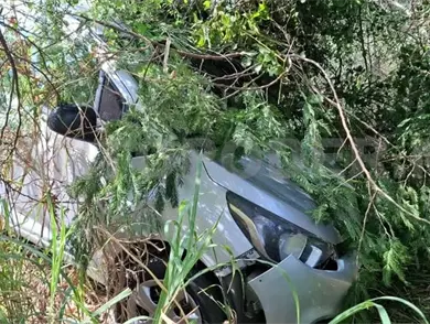 Sale del camino y termina varado entre la maleza Sale del camino y termina varado entre la maleza