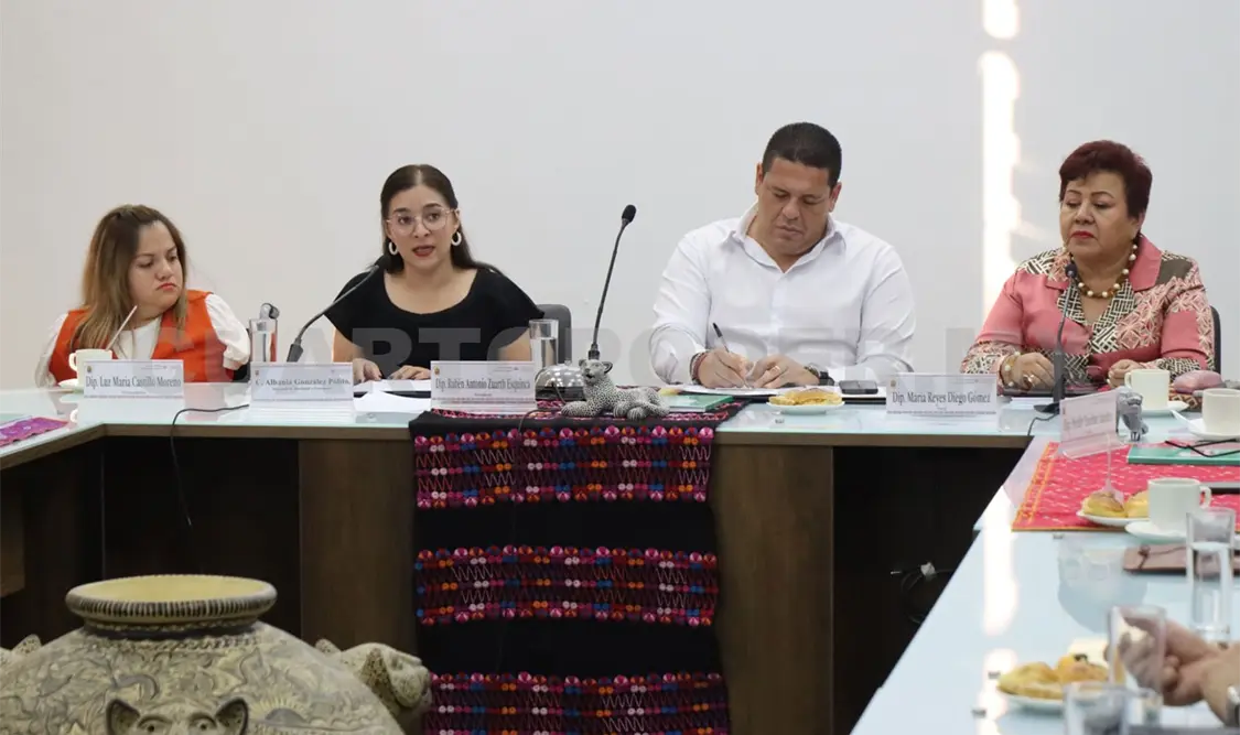 Comparecencia de Albania González Pólito, secretaria de Movilidad y Transporte. Diego Pérez/ CP