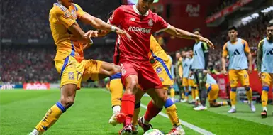 Tigres y Toluca van por el título Tigres y Toluca van por el título