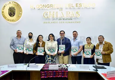 Fiscalizarán cada peso que se gaste Fiscalizarán cada peso que se gaste