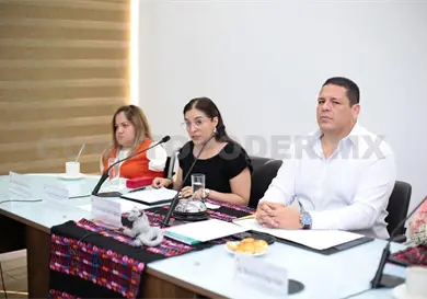 Planean ordenar las plataformas digitales Planean ordenar las plataformas digitales