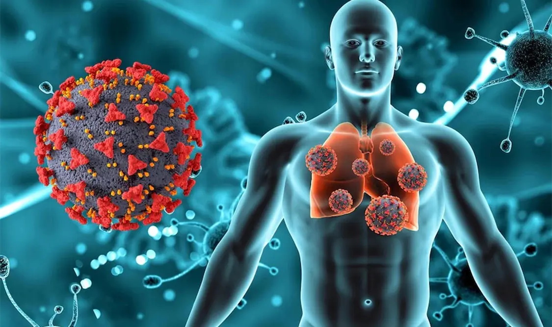 El H3N2 es una variante del virus de la influenza A, que provoca una infección respiratoria aguda. Cortesía