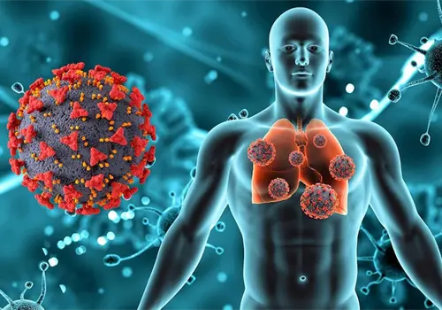 Qué vacunas protegen contra la Súper Gripe Qué vacunas protegen contra la Súper Gripe